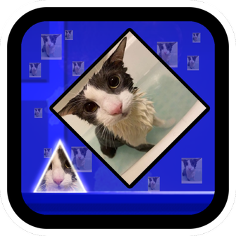 Logo for the mod Soggify